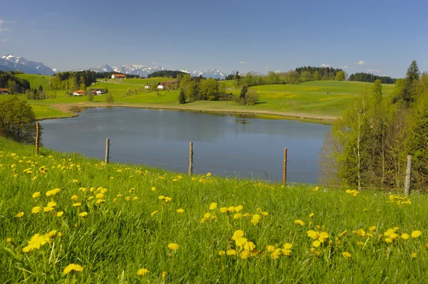 Bavyera'da manzara — Stok fotoğraf