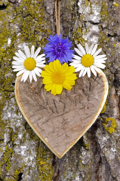 Geschnitztes Holzherz — Stockfoto