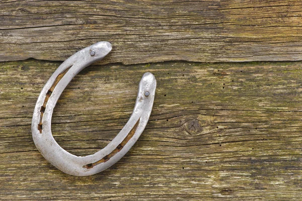 Zapato de caballo — Foto de Stock