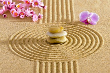 Feng shui ile Japon Zen Bahçesi
