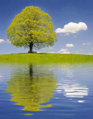 Geniş panorama manzara Bavyera