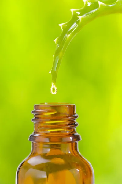 Alternative medicine with essence drops of aloe vera — Stock Photo, Image