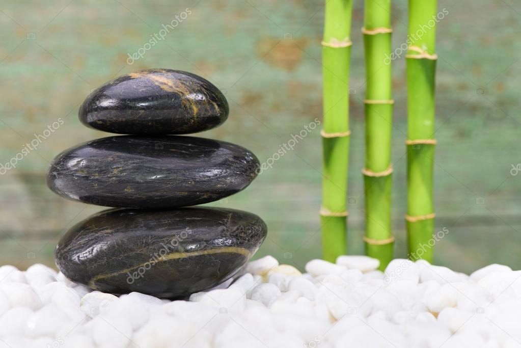 Japanese ZEN garden with Feng Shui