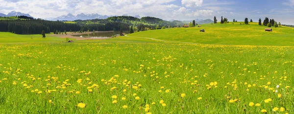 Szeroka panorama pejzaż w Bawarii — Zdjęcie stockowe