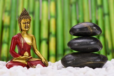 Buddha in zen garden