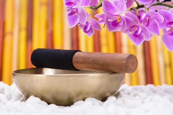 Singing bowl in zen garden — Stock Photo, Image