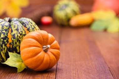 dekorasyon olarak kabak meyve