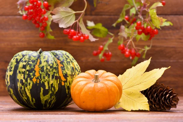 Frutta di zucca come decorazione — Foto Stock