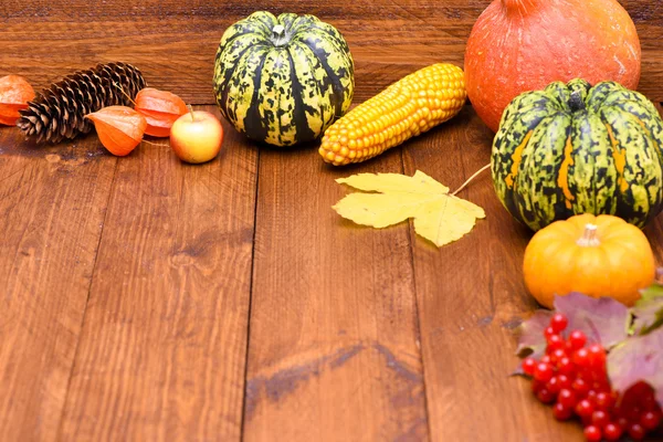 Calabaza frutas como decoración — Foto de Stock