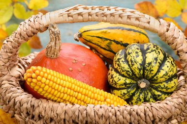 Kabak ile sonbahar dekorasyonu