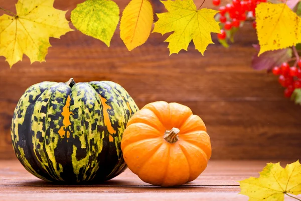 Decoração de outono com abóbora — Fotografia de Stock