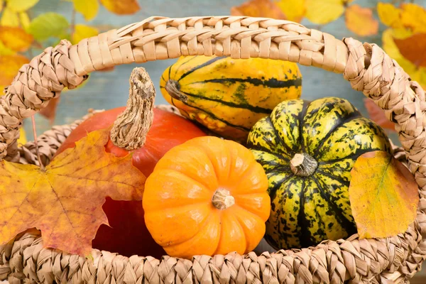 Autumn decoration with pumpkin Royalty Free Stock Photos