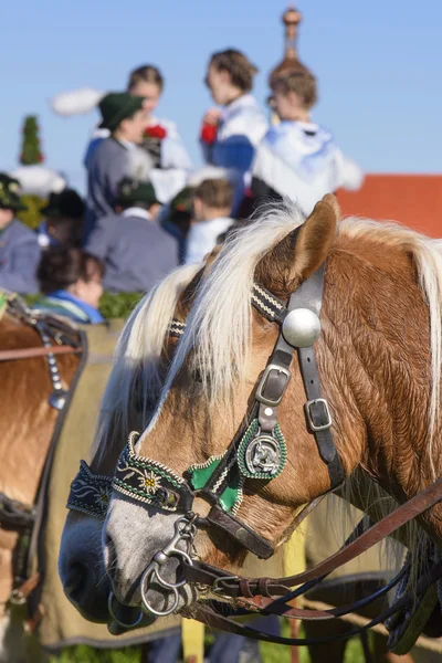 Procession de chevaux catholiques en Bavière — Photo