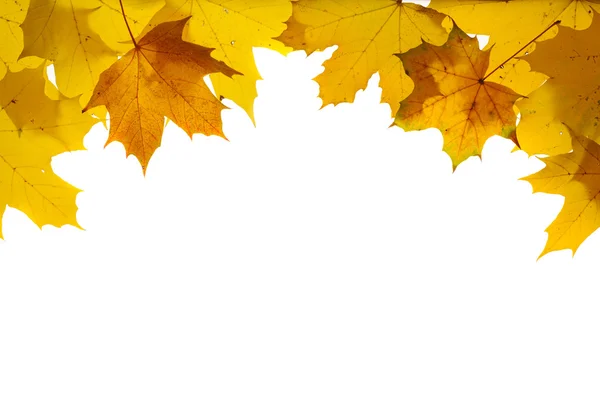 Fronteira com folhas de outono — Fotografia de Stock