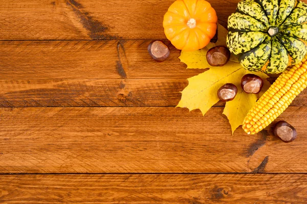 Calabaza frutas como decoración —  Fotos de Stock