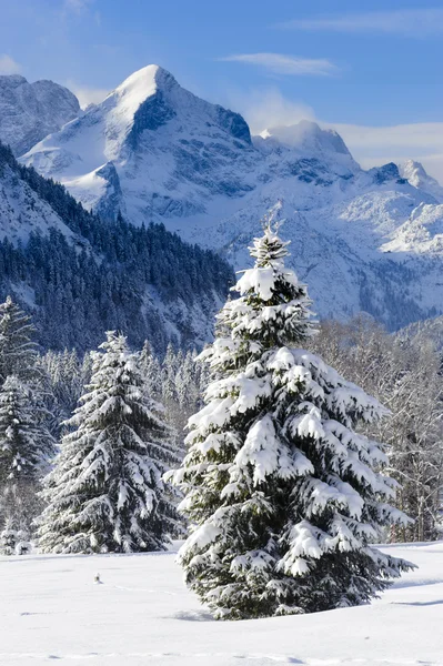 Paisagem na Baviera com montanhas no inverno — Fotografia de Stock