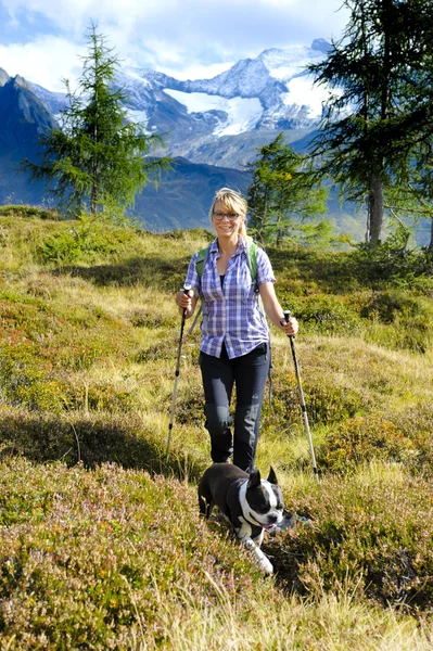 Hiking woman with dog in mountains — Stock Photo, Image