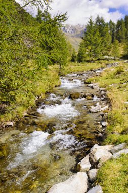 su cascade ve küçük akarsu