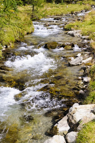 Víz és a kaszkád-kis patak — Stock Fotó