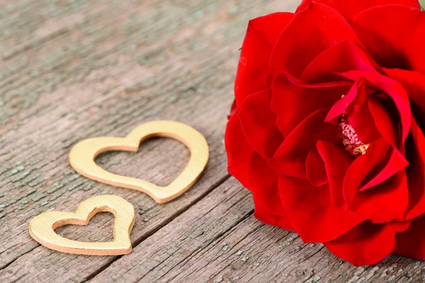 Valentinstag mit roter Rose — Stockfoto