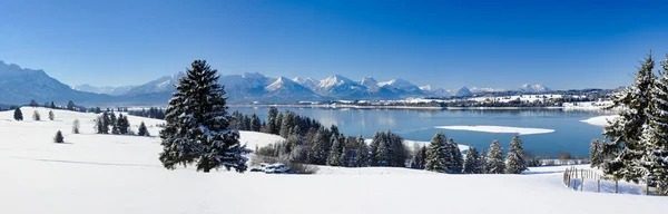 Панорамный пейзаж зимой в Германии — стоковое фото