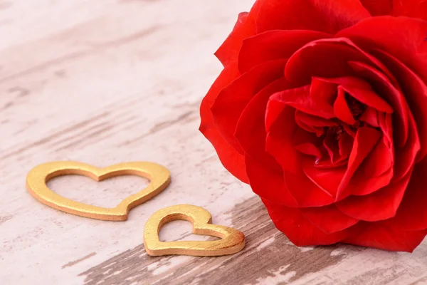 Valentinstag mit roter Rose — Stockfoto