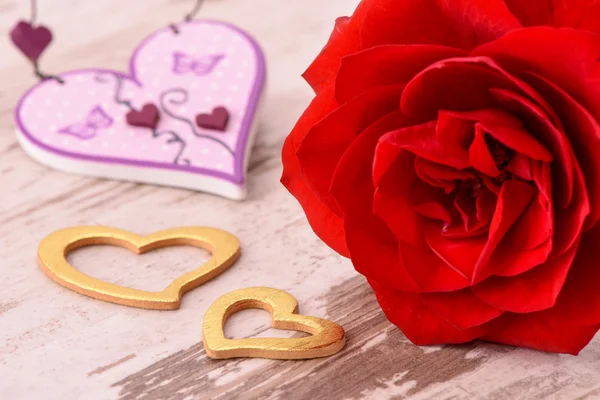 Valentines day with red rose — Stock Photo, Image