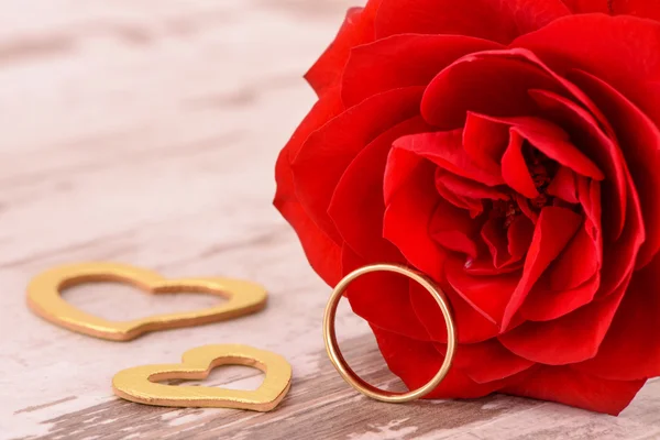 Valentinstag mit roter Rose — Stockfoto