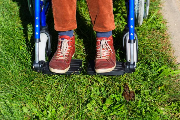 Dogs poop problem for person on wheelchair — Stock Photo, Image