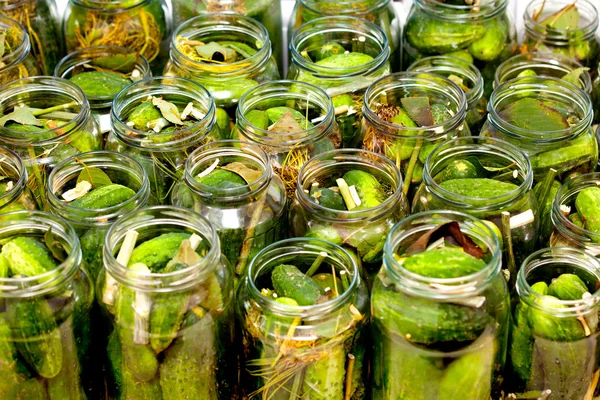 Homemade cucumbers in jars — Stock Photo, Image