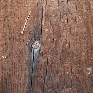 çivi ile ahşap arka plan