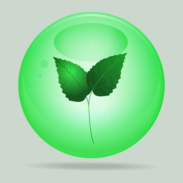 Sphère en verre vert avec feuilles à l'intérieur — Image vectorielle