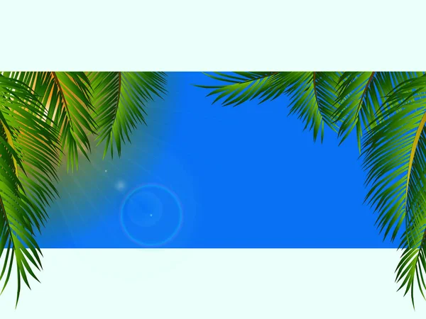 Horizontal Panel Summer View Blue Sky Palm Trees Sun Lens — стоковий вектор