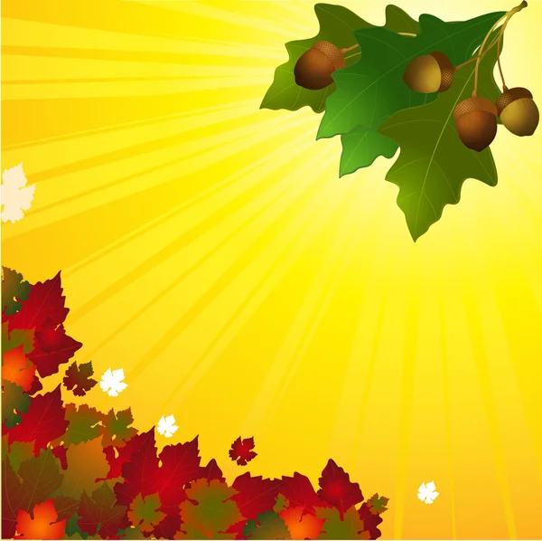 Podzimní pozadí s listovým a žalud — Stockový vektor