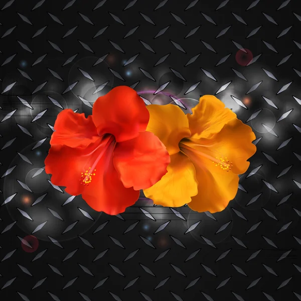 Hibiscus en placa de diamante metálico — Vector de stock