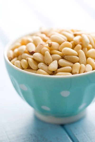 The pine nuts — Stock Photo, Image