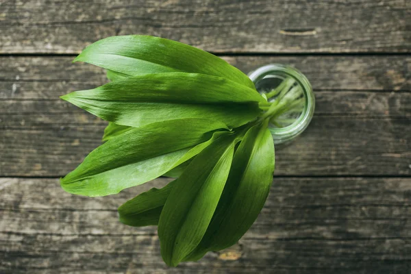 Foglie di ramson fresche . — Foto Stock