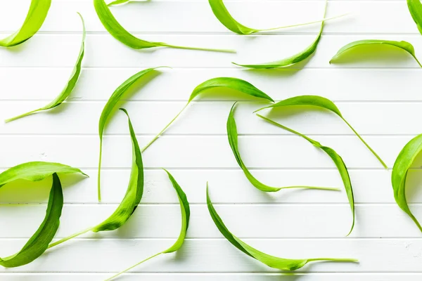 Hojas frescas de ramsons . — Foto de Stock