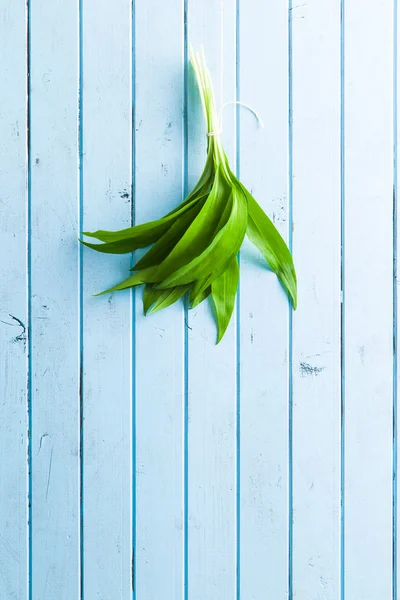 Hojas frescas de ramsons . — Foto de Stock