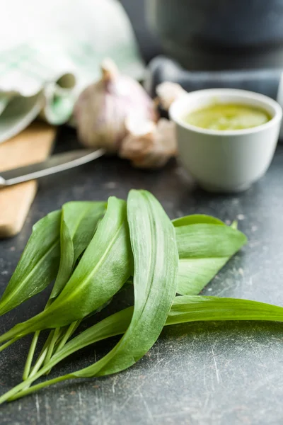 Hojas frescas de ramsons . —  Fotos de Stock