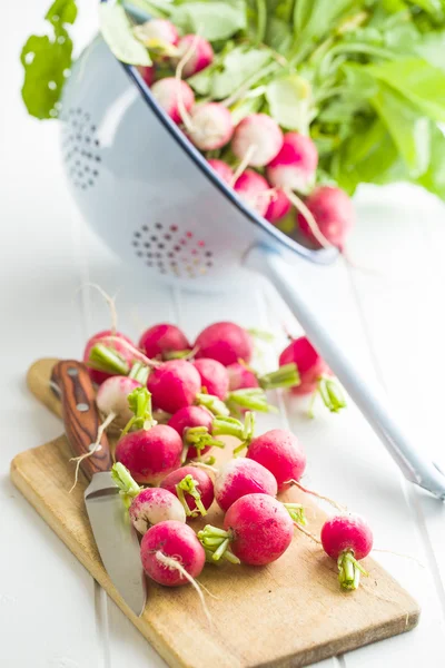 Rábanos frescos vegetales . — Foto de Stock