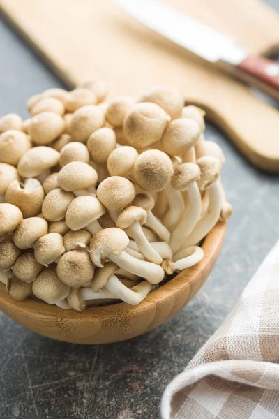 Brown shimeji mushrooms — Stock Photo, Image