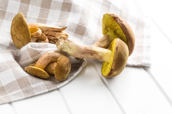 Fresh woodland fungi with boletus mushrooms. — Stock Photo, Image