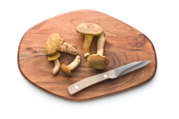 Boletus 버섯과 신선한 숲 버섯. — 스톡 사진