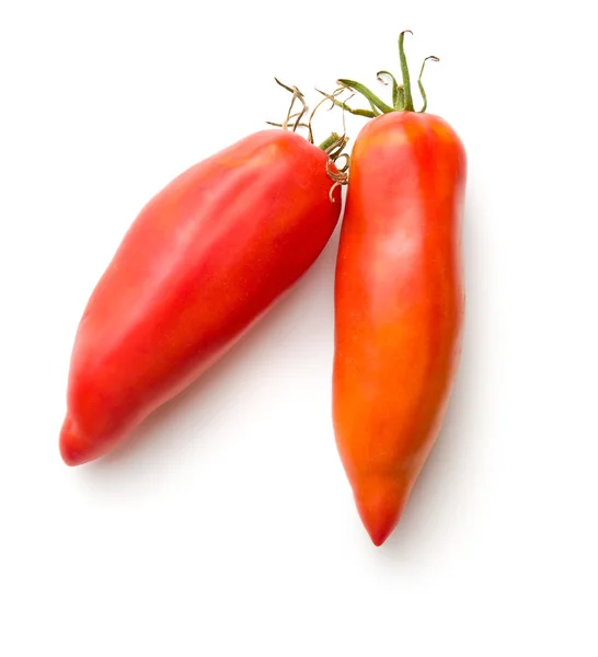 San Marzano Tomate — Stockfoto