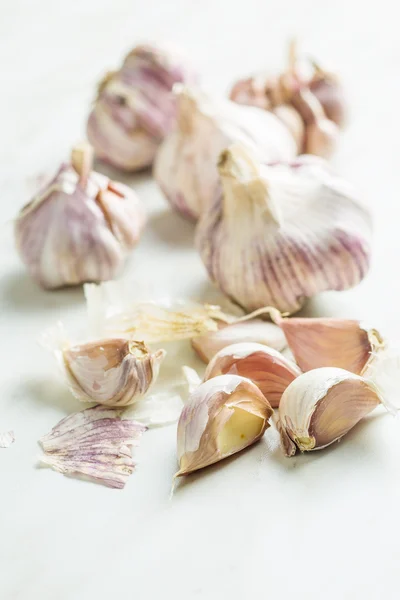 The fresh garlic. — Stock Photo, Image