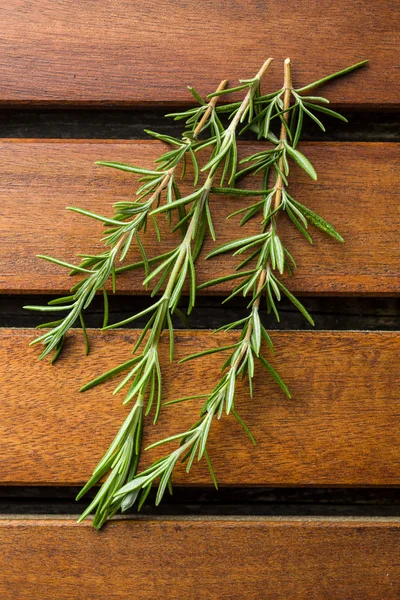 Branch of green rosemary. — Stock Photo, Image