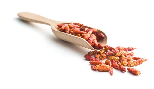 Mini peperoncino essiccato . — Foto Stock