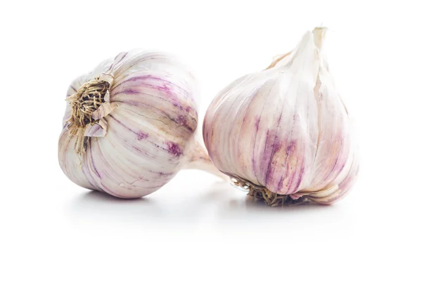 Der frische Knoblauch. — Stockfoto