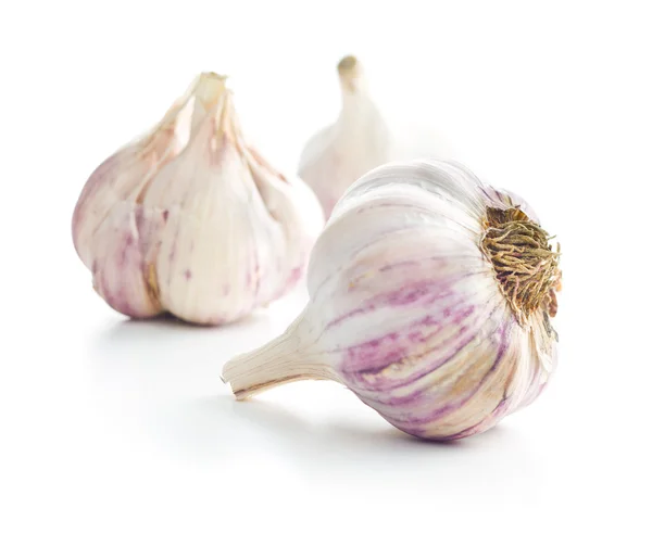 The fresh garlic. — Stock Photo, Image